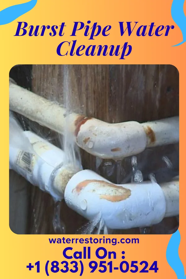 Burst Pipe Water Cleanup in Ionia, MI