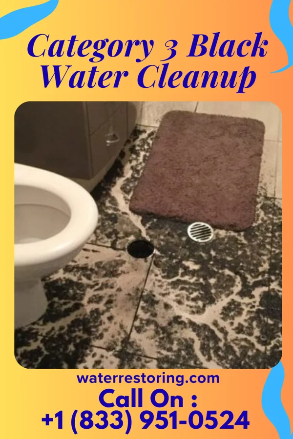 Category 3 Black Water Cleanup in Ionia, MI