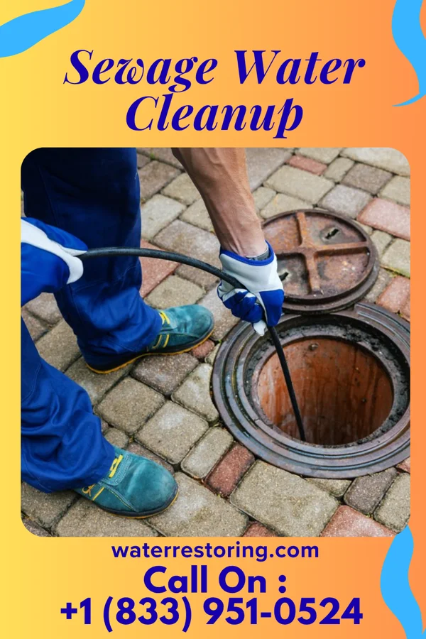 Sewage Water Cleanup in Ionia, MI
